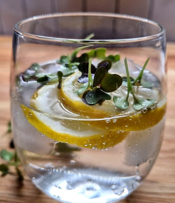 Gin and tonic garnished with fresh microgreens and lemon